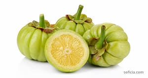 garcinia cambogia