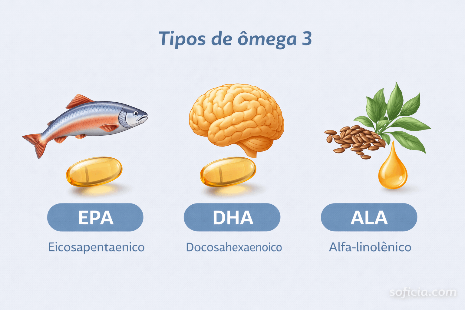Ômega 3: para que serve, benefícios, como tomar e quem deve ter cuidado ...